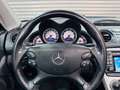 Mercedes-Benz SL 55 AMG -SEHR GEPFLEGTES FAHRZEUG- - thumbnail 14