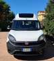 Fiat Doblo Doblò MAXI Euro 6 TRASPORTO DISABILI TETTO ALTO Bianco - thumbnail 9