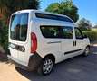 Fiat Doblo Doblò MAXI Euro 6 TRASPORTO DISABILI TETTO ALTO Bianco - thumbnail 15