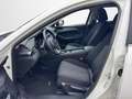 Mazda 6 6 Kombi 2.0 Center-Line AUTOMATK / NAVI / SITZHEIZ Weiß - thumbnail 9