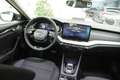 Skoda Octavia Octavia 2.0 TDI 150 CV DSG Executive NUOVA DA IMM Grey - thumbnail 13