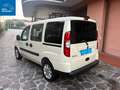 Fiat Doblo Doblo I 2005 1.4 Dynamic Beige - thumbnail 7
