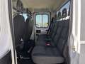 Fiat Ducato 2.3 130 CV 7 POSTI MAXI GRU FASSI Blanco - thumbnail 8