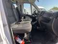 Fiat Ducato 2.3 130 CV 7 POSTI MAXI GRU FASSI Blanco - thumbnail 13