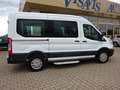 Ford Transit Kombi 330 L2 Trend KMP Rampe Standheizg Weiß - thumbnail 8