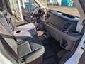 Ford Transit Kasten 350 L3H3 1. HAND MWST SORTIMO Alb - thumbnail 13