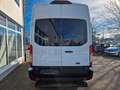 Ford Transit Kasten 350 L3H3 1. HAND MWST SORTIMO Alb - thumbnail 6