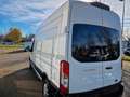 Ford Transit Kasten 350 L3H3 1. HAND MWST SORTIMO Alb - thumbnail 5