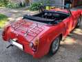 Austin-Healey Sprite Rojo - thumbnail 5