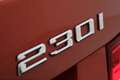 BMW 230 2 Serie Cabrio 230i High Executive Sport Line Auto Oranje - thumbnail 46