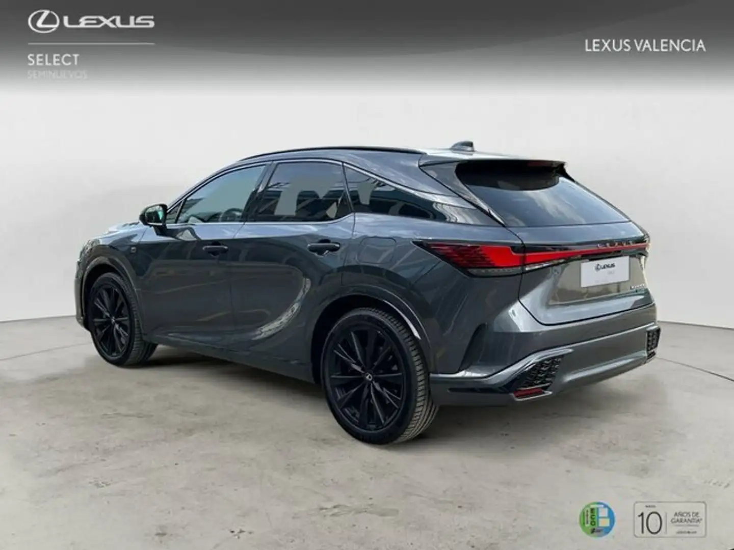 Lexus RX 500h F SPORT Grigio - 2