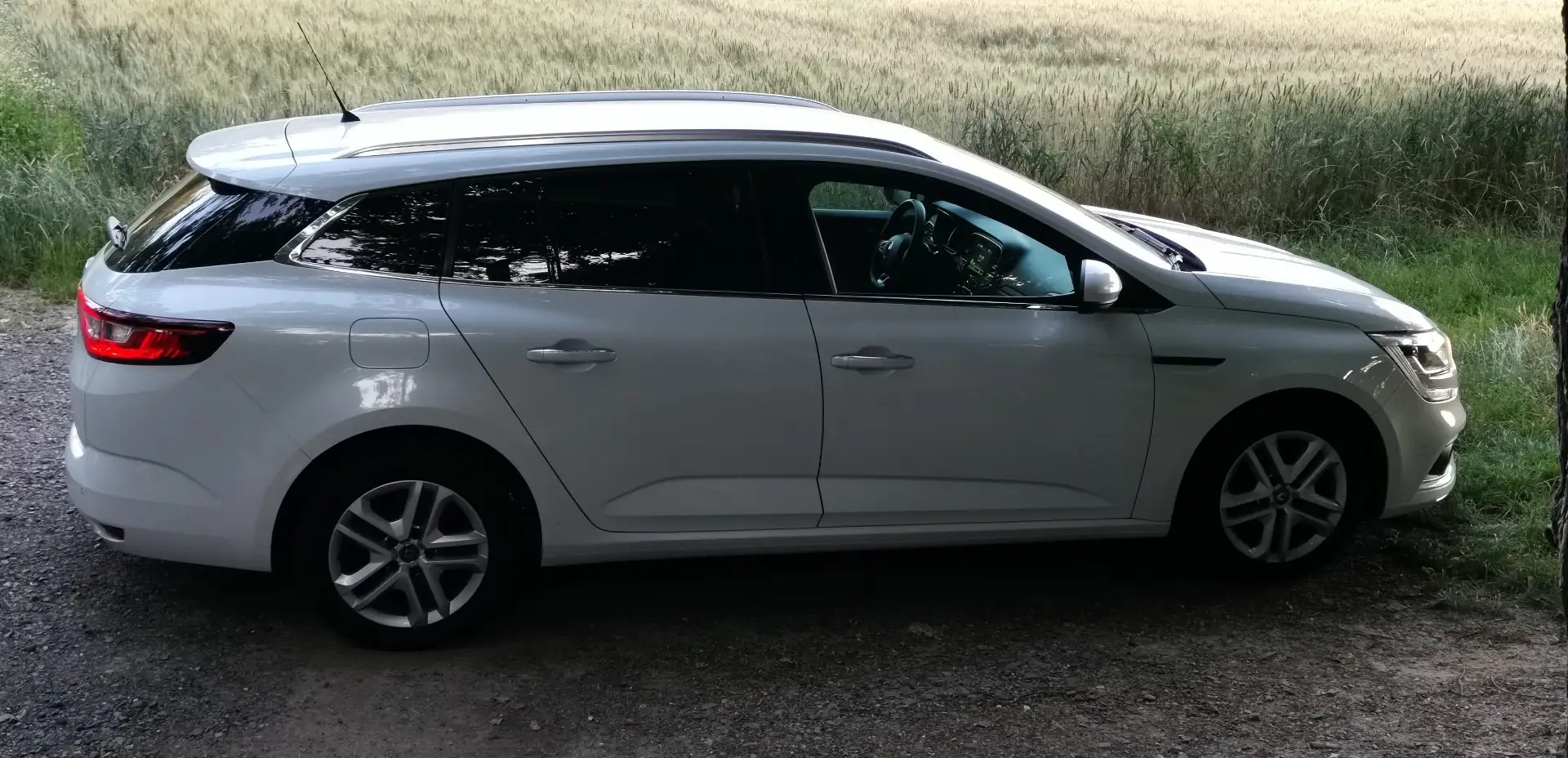 Renault Megane Business Edition Weiß - 1