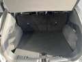 Ford Kuga 2,0 EcoBlue AWD ST-Line X Aut. Silber - thumbnail 14