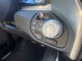 Dodge RAM 1500 Tungsten Crew Cab 2025 3.0 LPG*LED*AHK Rojo - thumbnail 19