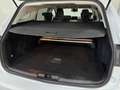 Ford Focus Wagon 1.0 EcoBoost Edition Business LED NAVI PDC T Bianco - thumbnail 14