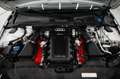 Audi RS4 RS 4 Avant 4.2 TFSI quattro S-Tronic Blanco - thumbnail 34