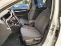 Volkswagen Golf 1.0 TSI EVO Life Bianco - thumbnail 9