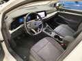 Volkswagen Golf 1.0 TSI EVO Life Bianco - thumbnail 12