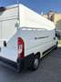 Peugeot Boxer motore 2.0 130 cv testata da sostituire - thumbnail 2