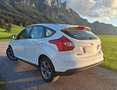 Ford Focus Focus Trend 1,0 EcoBoost Trend Weiß - thumbnail 3