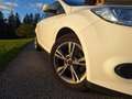Ford Focus Focus Trend 1,0 EcoBoost Trend Weiß - thumbnail 5