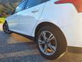 Ford Focus Focus Trend 1,0 EcoBoost Trend Weiß - thumbnail 6