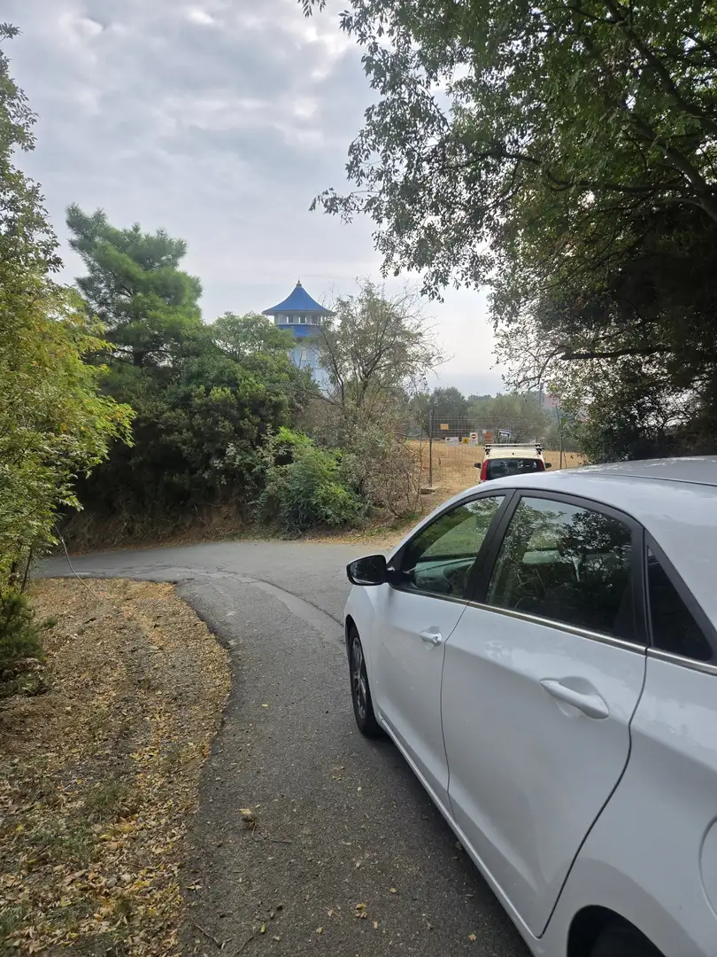 Hyundai i30 5p 1.6 crdi Comfort 110cv dct 7m FL E6 - 2