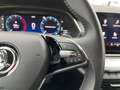 Skoda Octavia Combi 2,0 TDI Ambition DSG Blauw - thumbnail 37