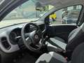 Fiat Panda Panda III 2021 1.0 firefly hybrid City Life s Grau - thumbnail 9