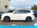 BMW X3 xDrive30d M-Technik Paket* LEDER*XENON*NAVI* Biały - thumbnail 2