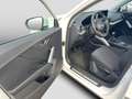 Audi Q2 30TFSI S line Cam ACC Keyless Climatr Weiß - thumbnail 14