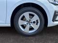 Skoda Scala Extra Plus 1,5 TSI DSG  2ZoKlima Kamera 2 x PDC... Weiß - thumbnail 8