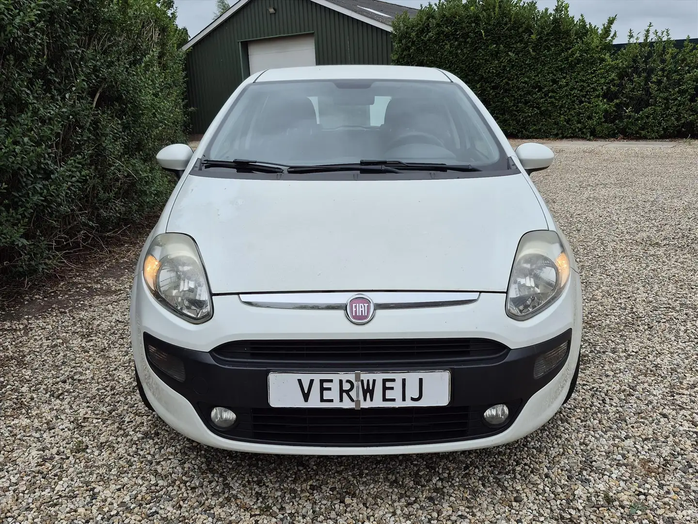 Fiat Punto 1.3 Multijet 5DRS | Clima | Cruise | LM Velgen | B Wit - 2