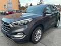 Hyundai TUCSON blue 1.6 GDI Intro Edition 2WD Gris - thumbnail 1