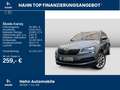 Skoda Karoq 1.5 TSI DSG Style ACC Navi Kamera LED Grau - thumbnail 2