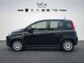 Fiat Panda Fiat Panda 1.0 70 Cv. Hybrid Noir - thumbnail 3