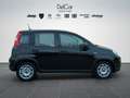 Fiat Panda Fiat Panda 1.0 70 Cv. Hybrid Noir - thumbnail 7