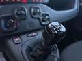 Fiat Panda Fiat Panda 1.0 70 Cv. Hybrid Noir - thumbnail 16