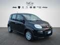 Fiat Panda Fiat Panda 1.0 70 Cv. Hybrid Noir - thumbnail 8