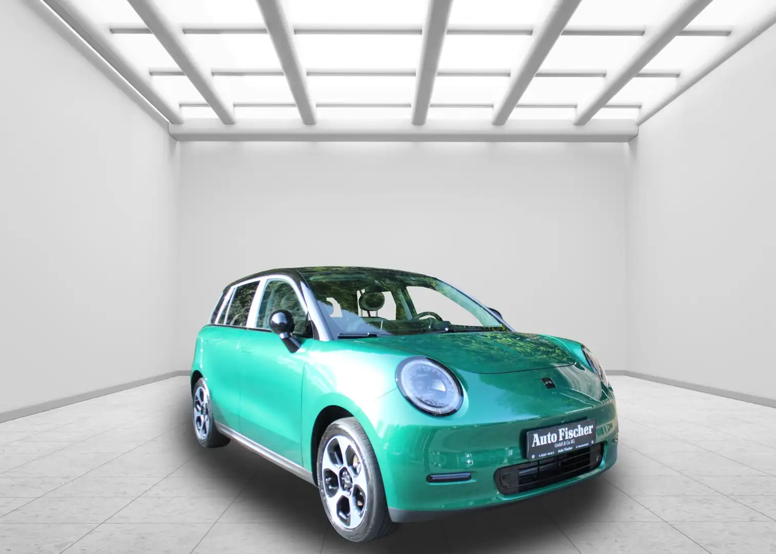 JAC Sonstige E30X 3 fas Nordic Edition 50 Elektronisch  Edition Grün - 2