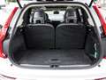 Volvo XC90 T8 AWD Plug-In Hybrid Plus Bright #AHK/Sitzh./P... Weiß - thumbnail 11