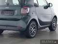 smart forTwo smart fortwo EQ Prime Exclusive Plus+22kW+JBL+Pano Grün - thumbnail 4