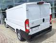 Toyota Proace Max 2.2-l-D 33 L2H1 Work Blanc - thumbnail 4