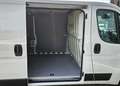 Toyota Proace Max 2.2-l-D 33 L2H1 Work Blanc - thumbnail 8