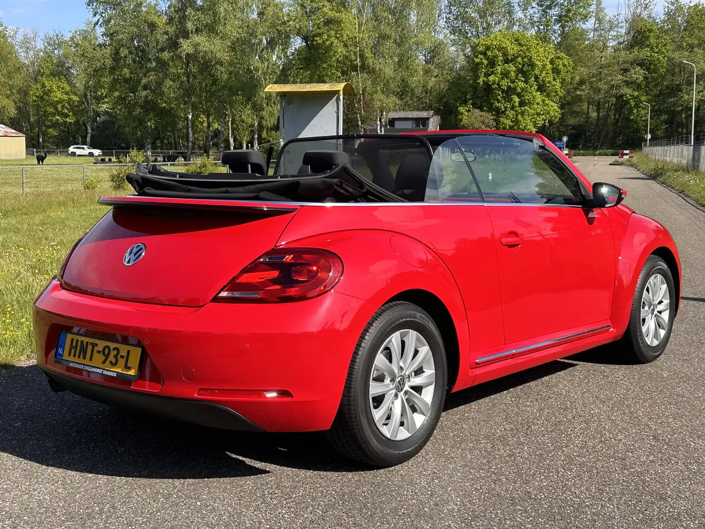 Volkswagen Beetle Cabriolet 1.2 TSI Design BlueMotion | Uniek exempl Rouge - 2