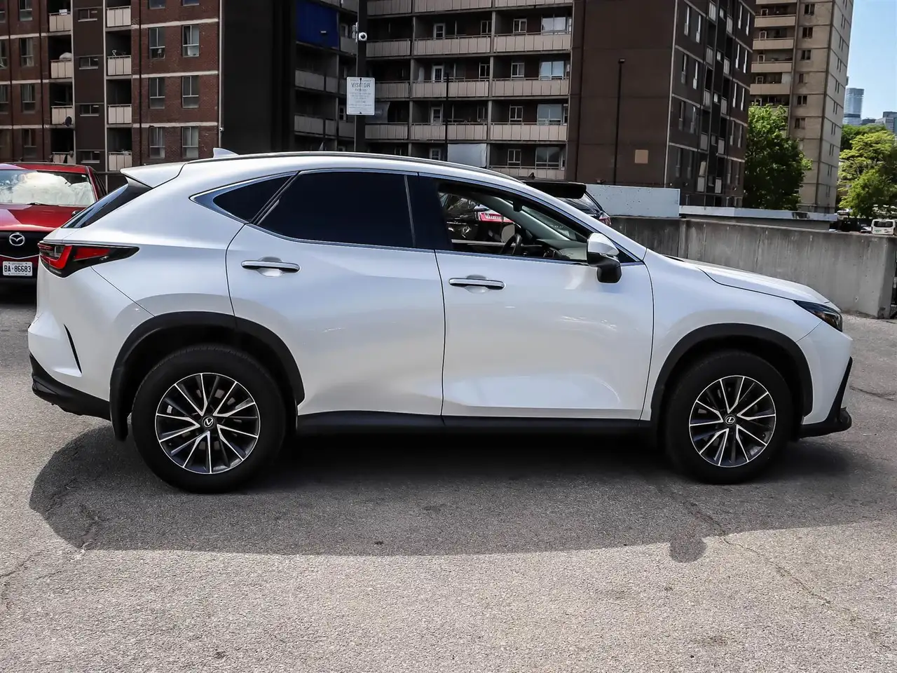 Lexus NX снимка Lexus NX