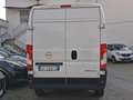 Opel Movano 2.2 BlueHDI 140CV L2H2 (IVA ESCLUSA) Blanco - thumbnail 2