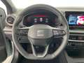 SEAT Ibiza FR Edition 1.0 TSI 95PS Grau - thumbnail 13