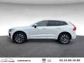 Volvo XC60 T6 Recharge AWD 253 ch + 145 Geartronic 8 Inscription Weiß - thumbnail 7