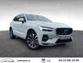Volvo XC60 T6 Recharge AWD 253 ch + 145 Geartronic 8 Inscription Weiß - thumbnail 10